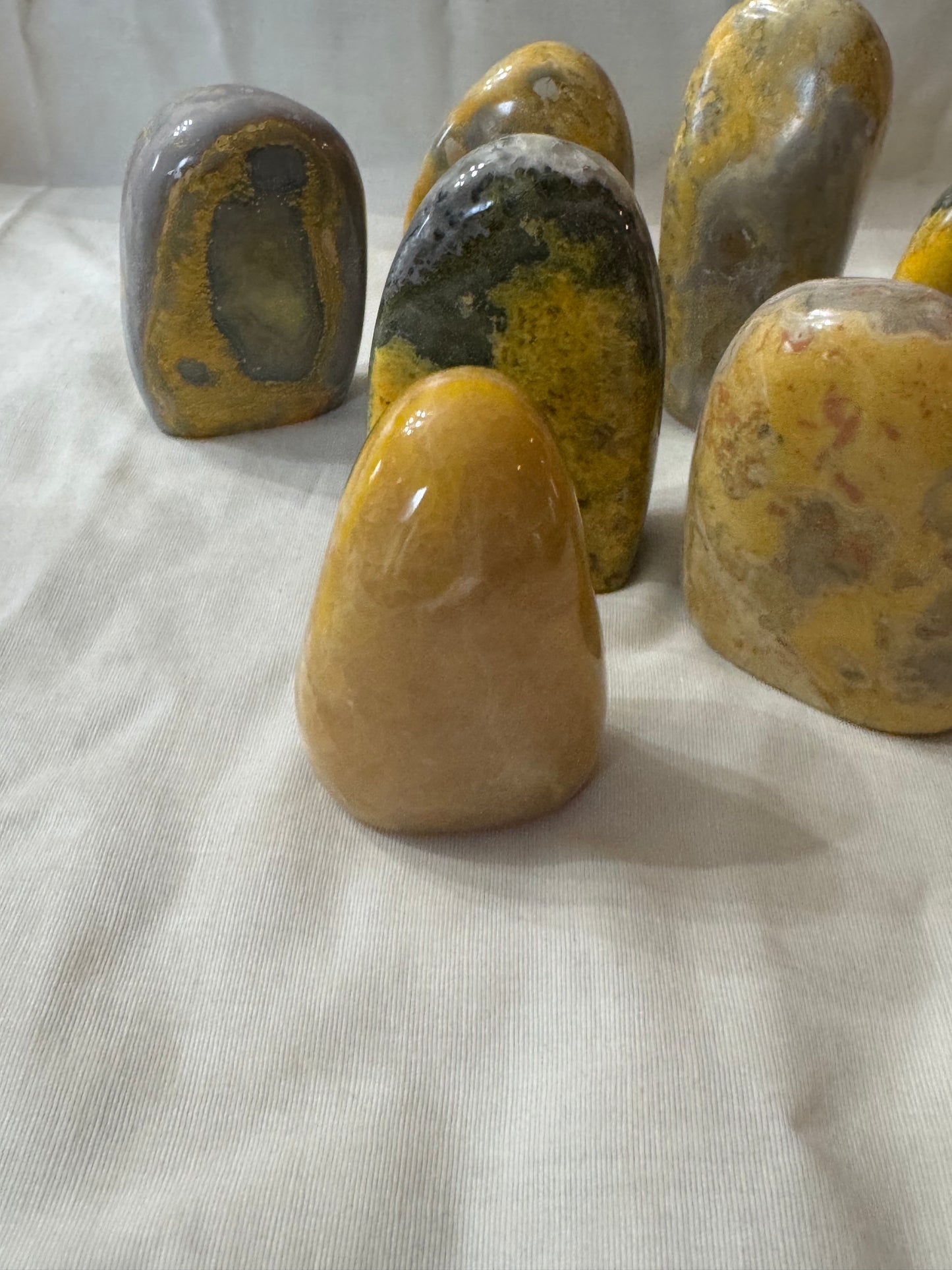 Bumblebee Jasper Freeform Choices