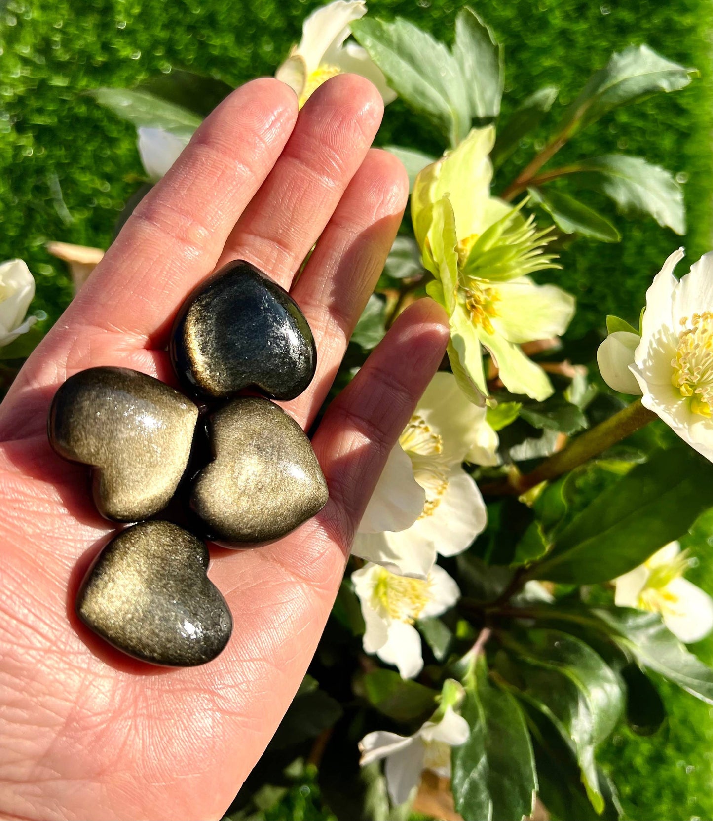 Natural Gold Sheen Obsidian Hearts