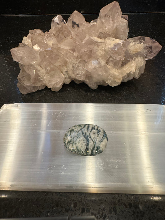 Tree Agate Smooth Flat Crystal Pocket Stone