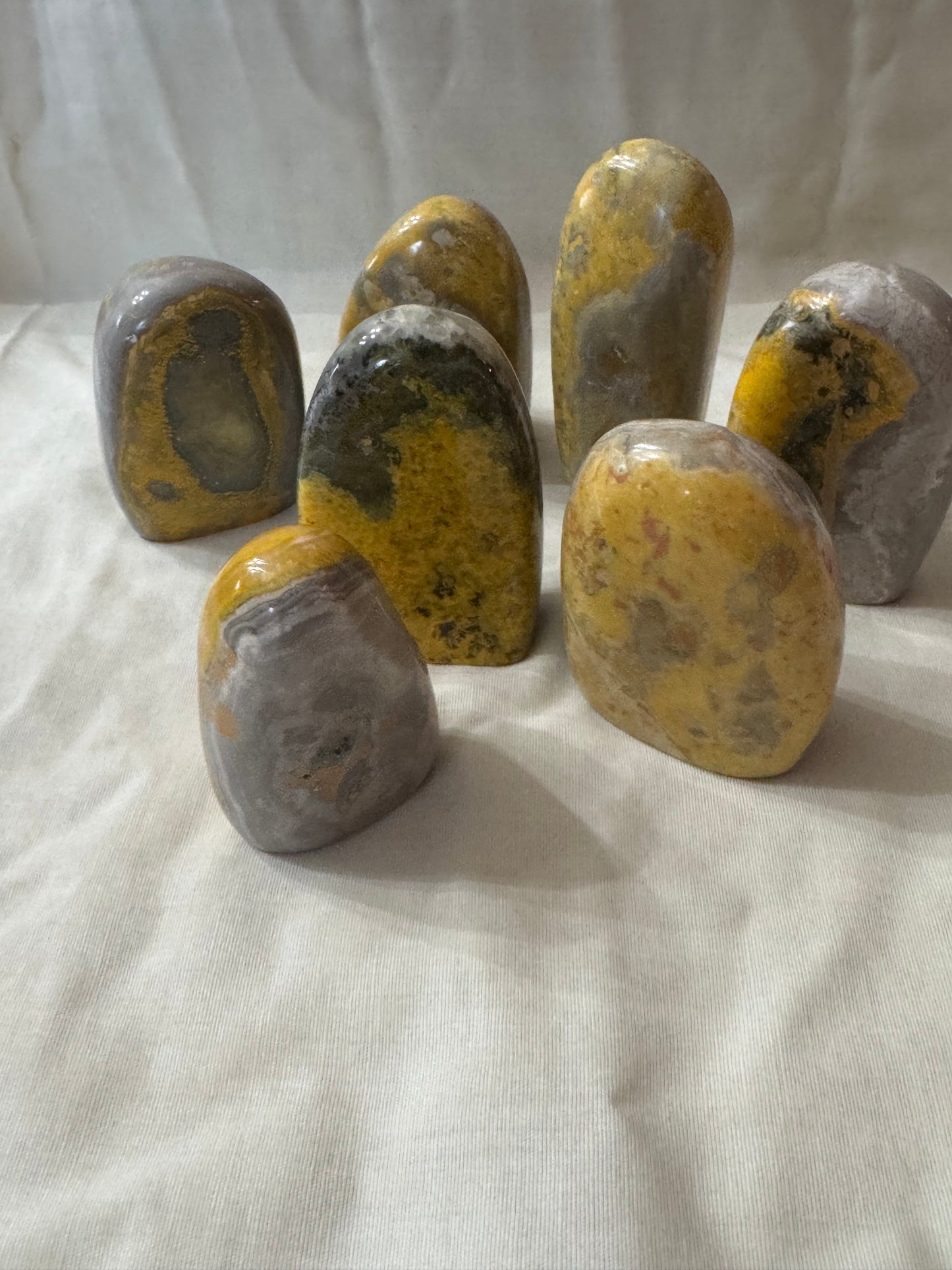 Bumblebee Jasper Freeform Choices