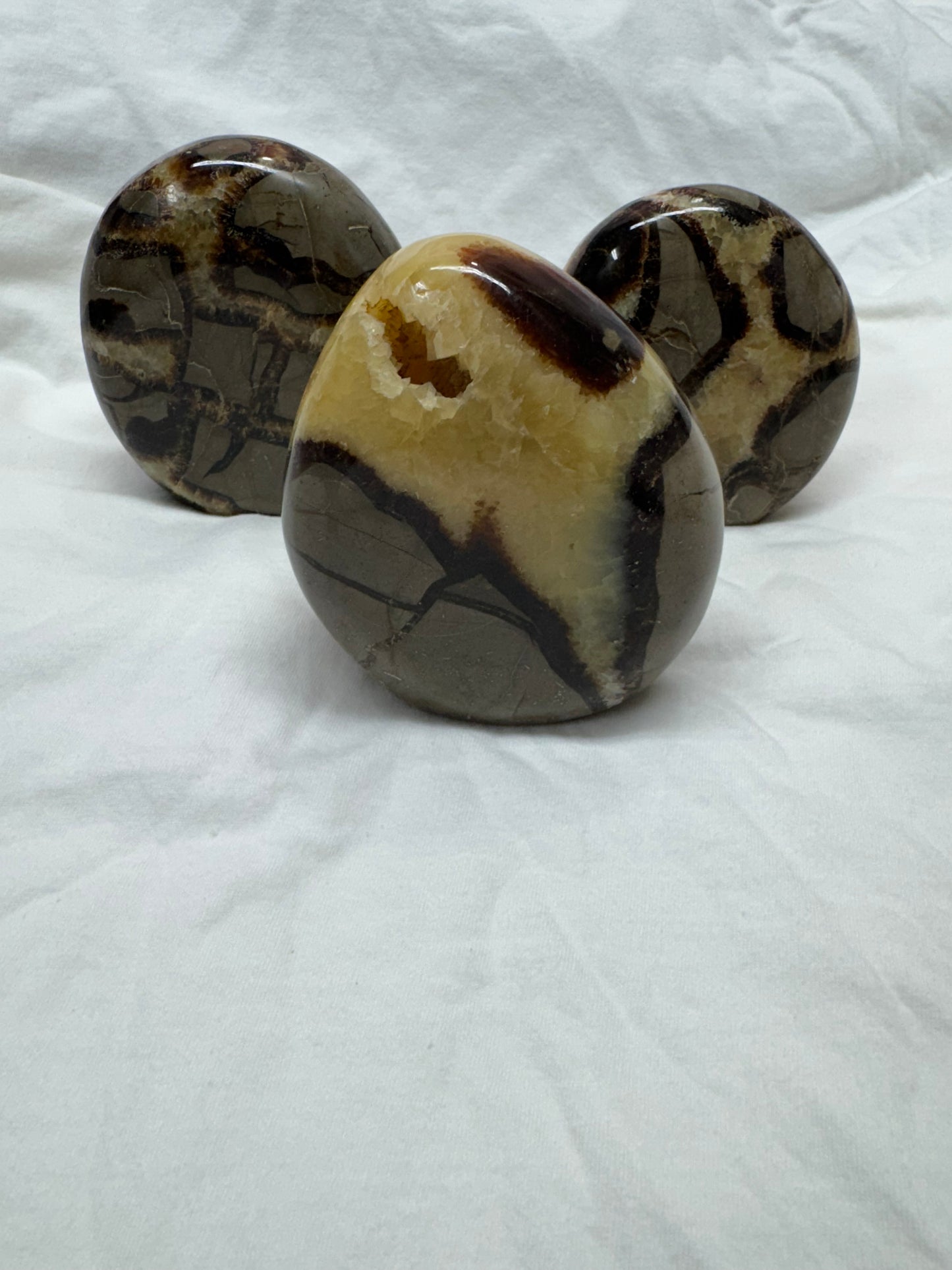 Mixed Freeform Choices- Dendritic Opal - Green Fluorite- Septarian