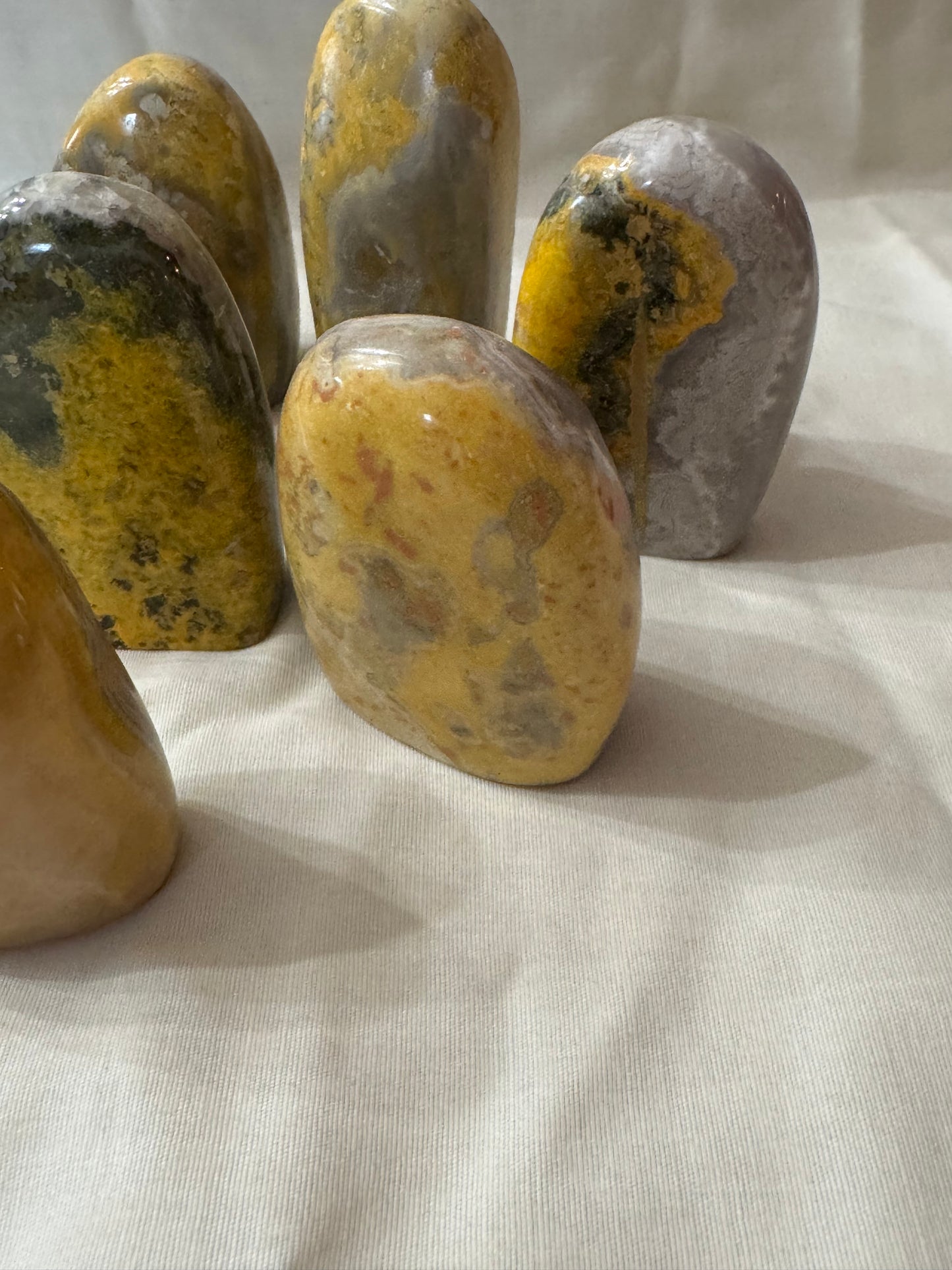 Bumblebee Jasper Freeform Choices