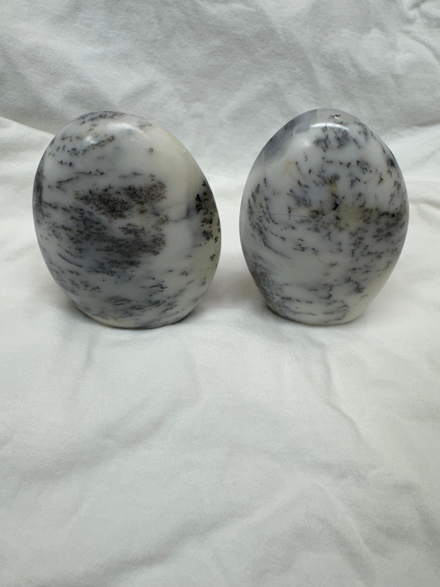 Mixed Freeform Choices- Dendritic Opal - Green Fluorite- Septarian