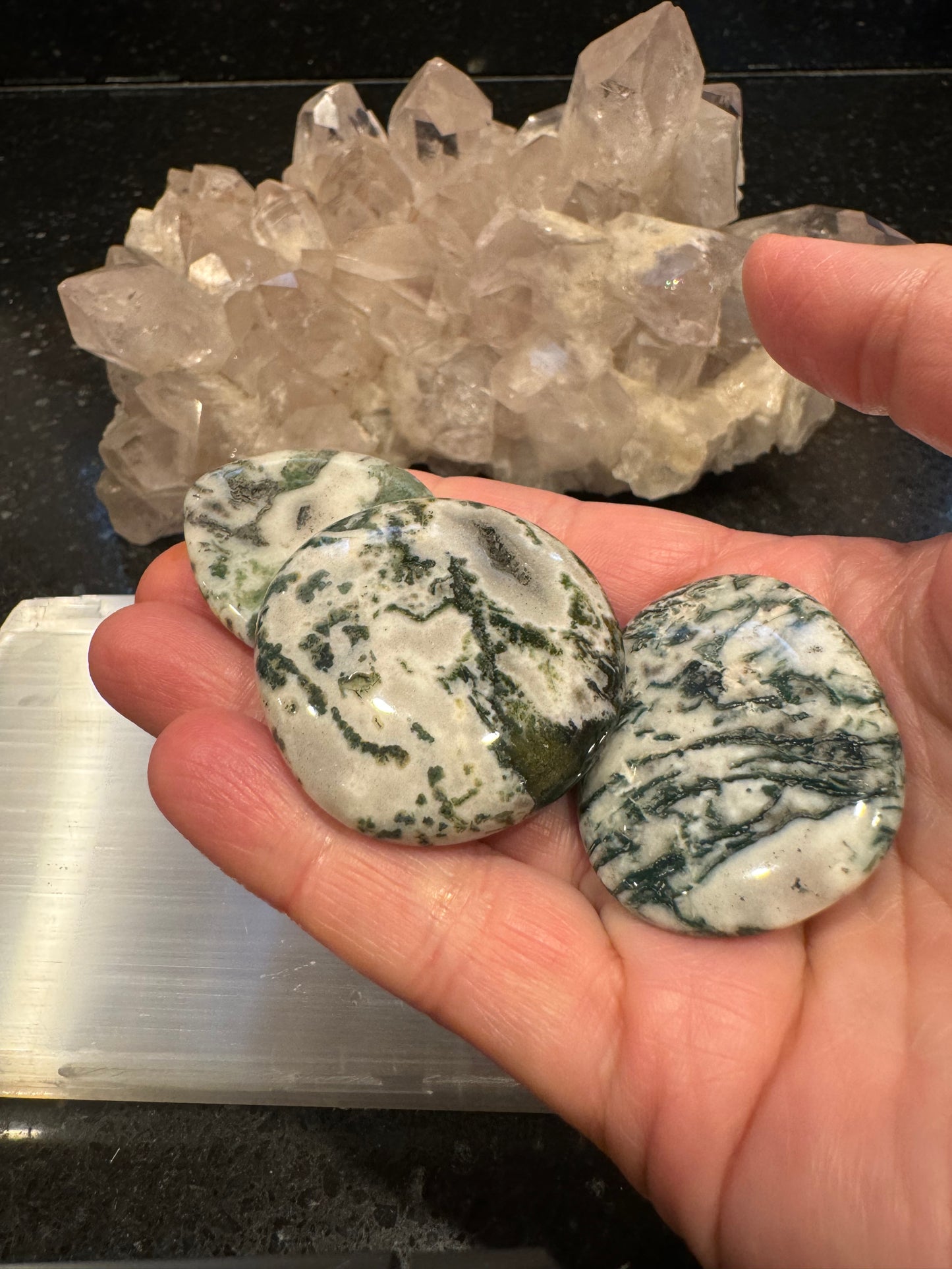Tree Agate Smooth Flat Crystal Pocket Stone