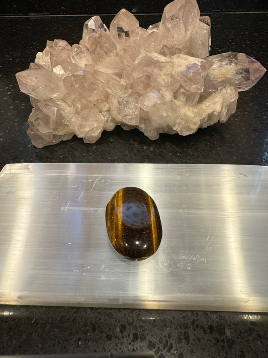 Tiger's Eye Oval Palm Stone