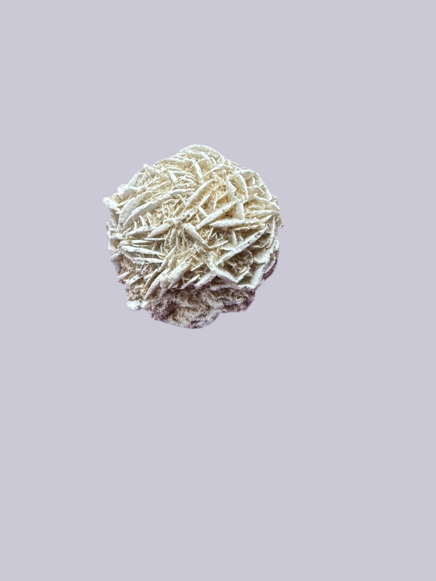 6 Desert Rose Gypsum Crystal
