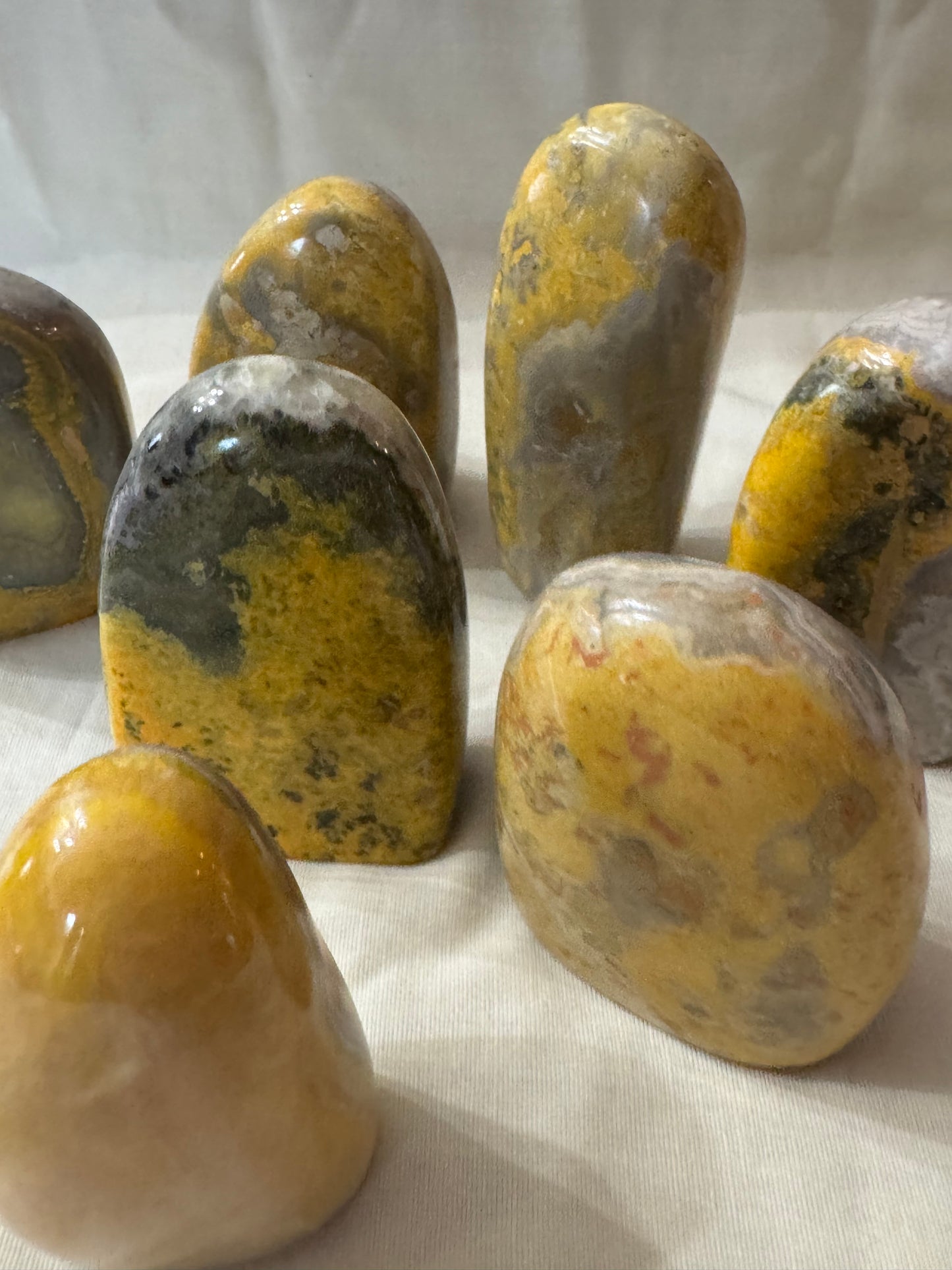 Bumblebee Jasper Freeform Choices