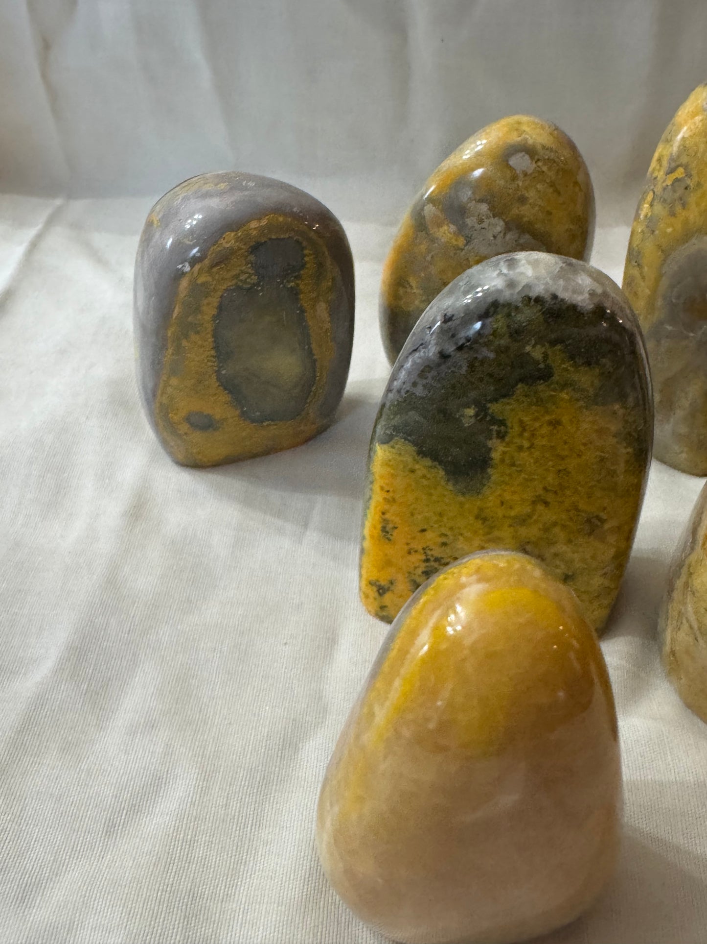 Bumblebee Jasper Freeform Choices