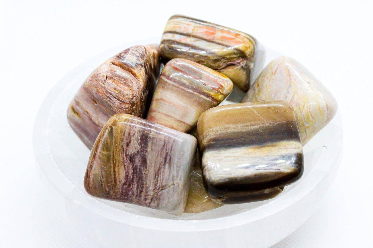 Petrified Wood Tumbled 30-45mm 1KG