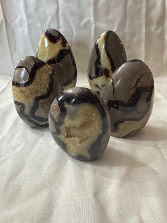 Septarian Crystal Freeform Choices #4-8