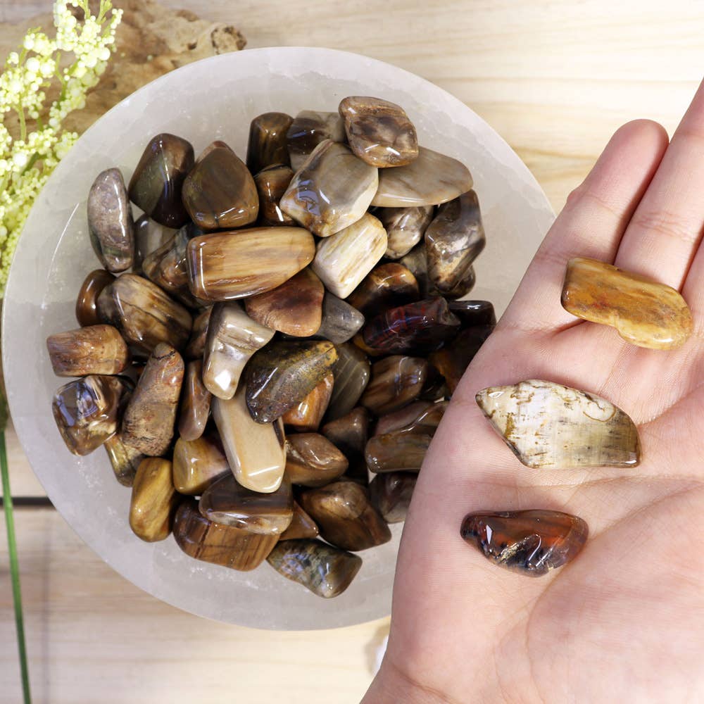 1 lb Petrified Wood Tumbled Stones