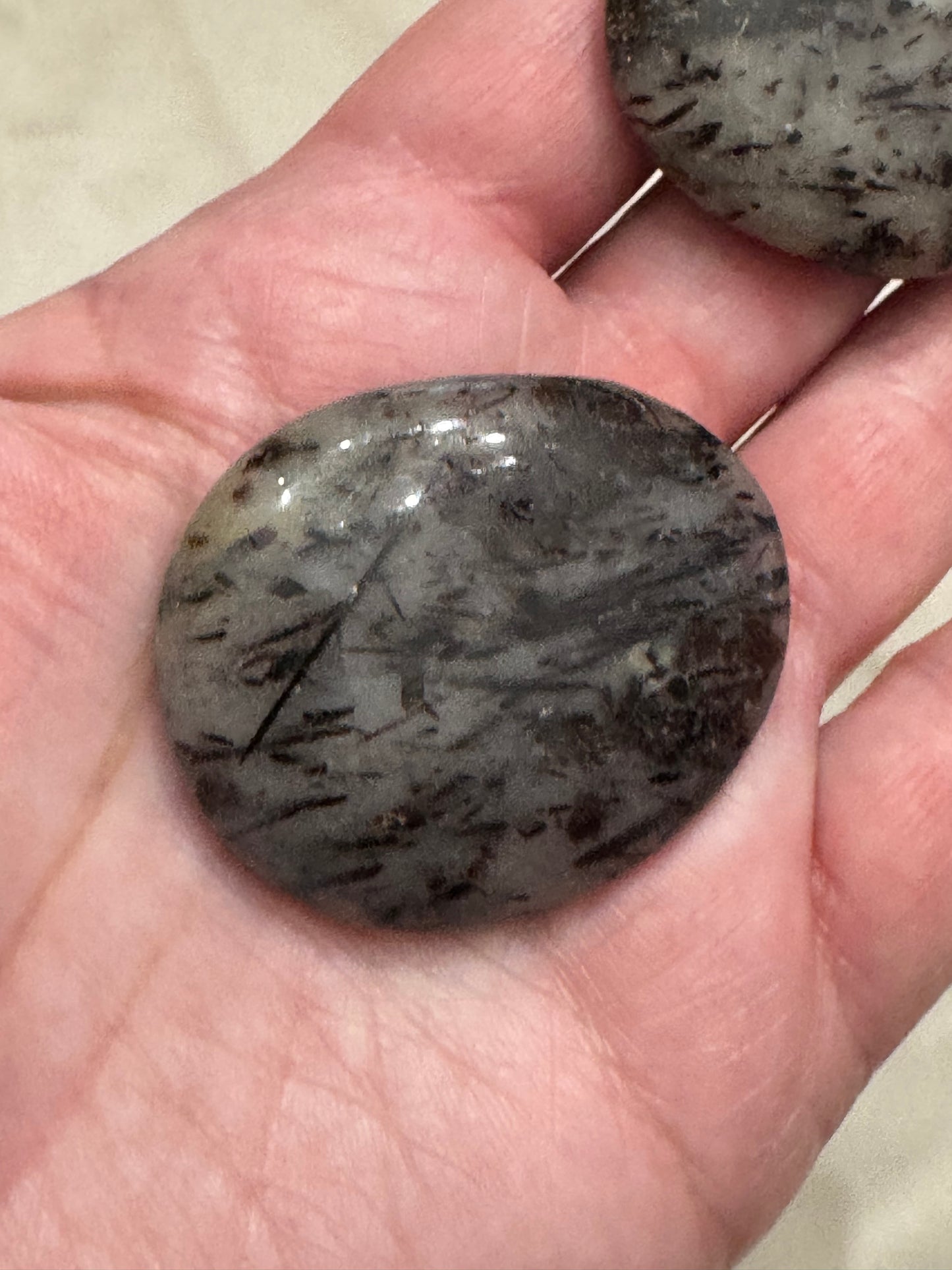 Astrophyllite Crystal Smooth Flat Stone Pocket Palm