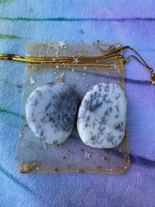 Amplify Intentions Crystal Pouch- Dendritic Opal in a Gold Pouch