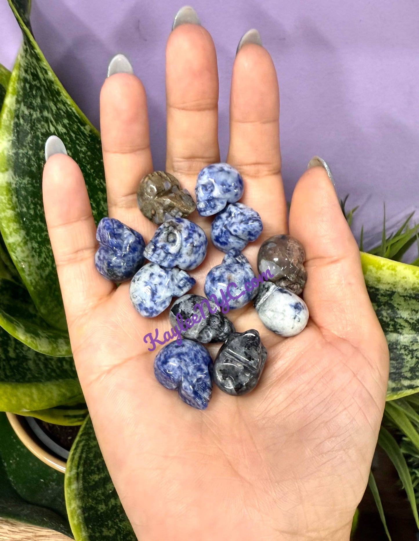 Natural Mix Crystal 22mm Skull Healing Energy