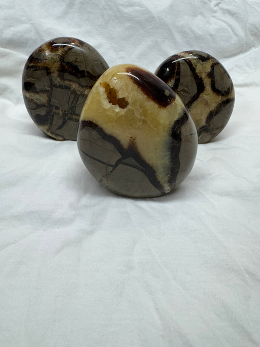 Mixed Freeform Choices- Dendritic Opal - Green Fluorite- Septarian