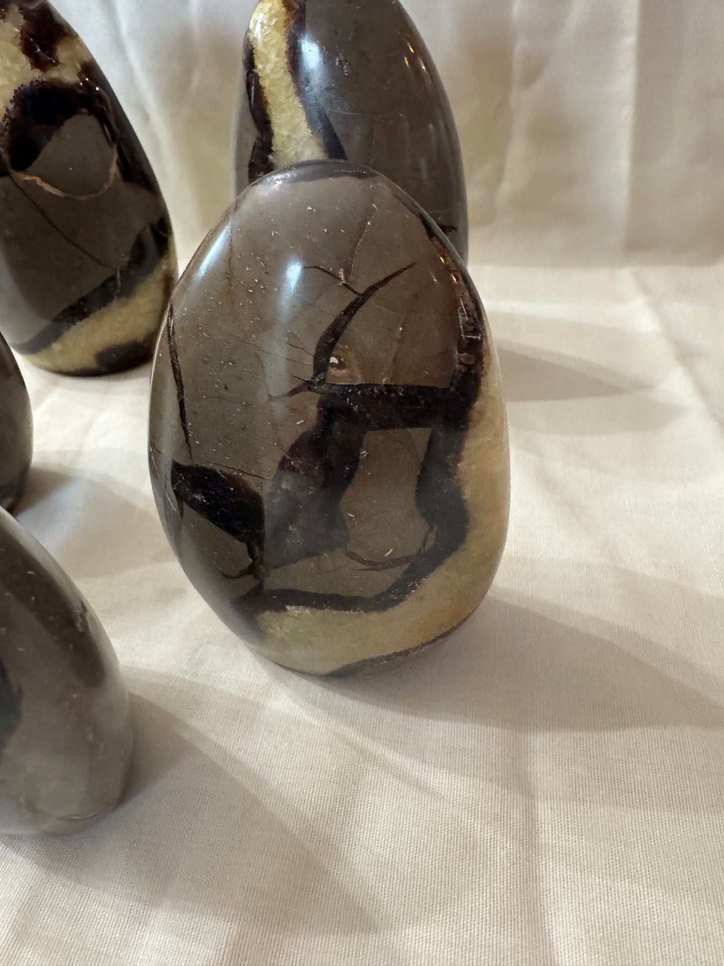 Septarian Crystal Freeform Choices #4-8