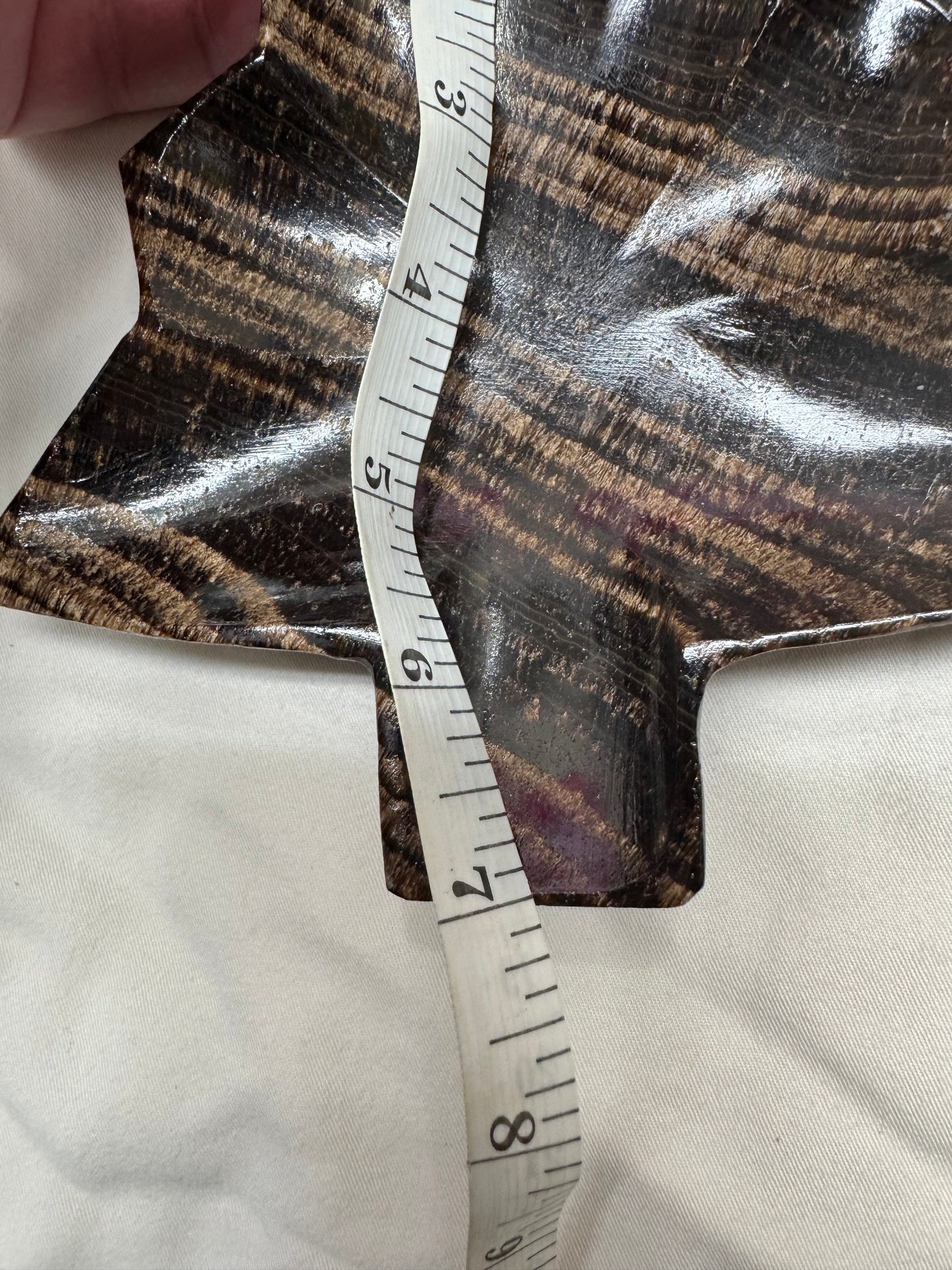 Chocolate Onyx Pine Tree Dish