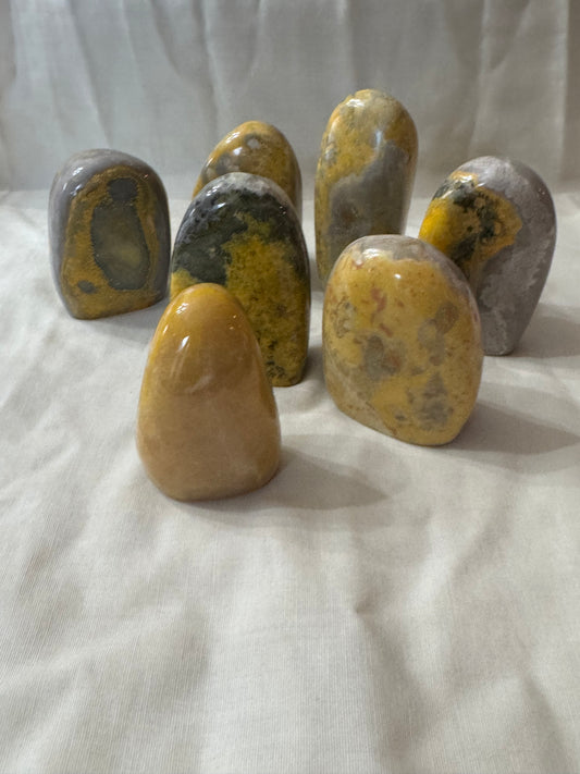 Bumblebee Jasper Freeform Choices