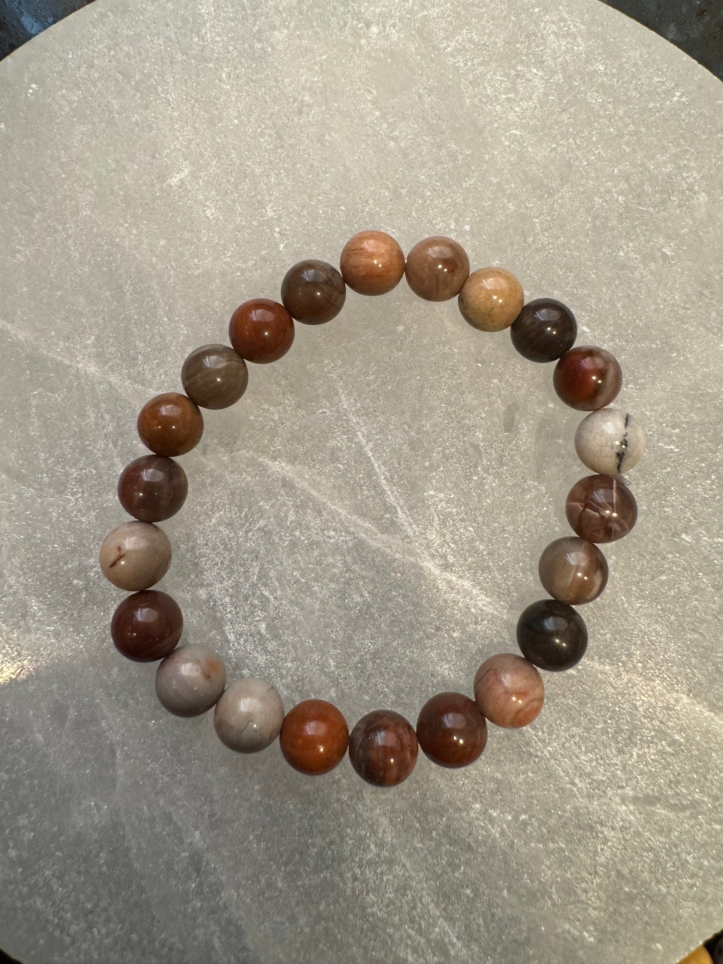 Petrified Wood Bead Bracelet 8mm