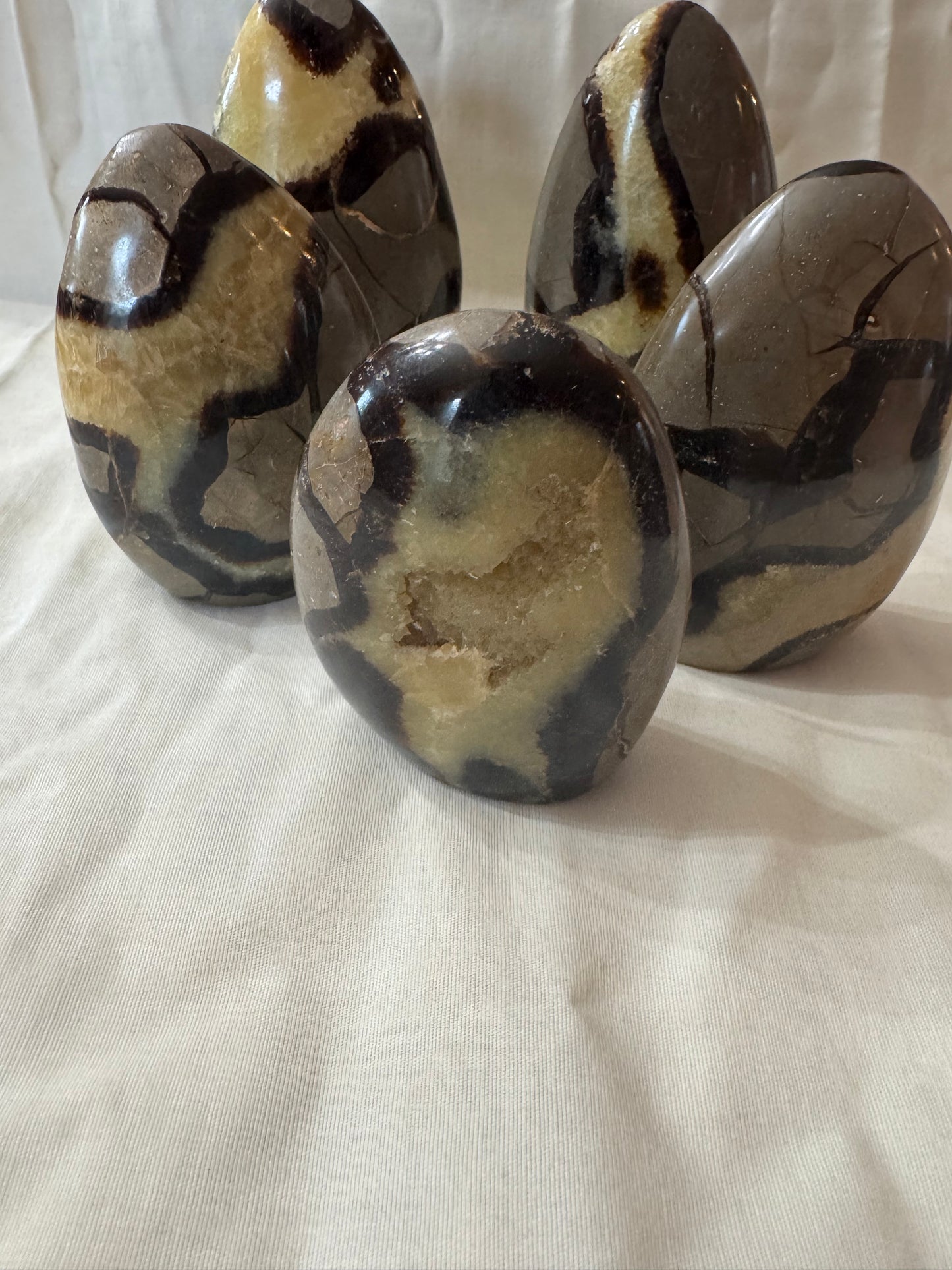 Septarian Crystal Freeform Choices #4-8