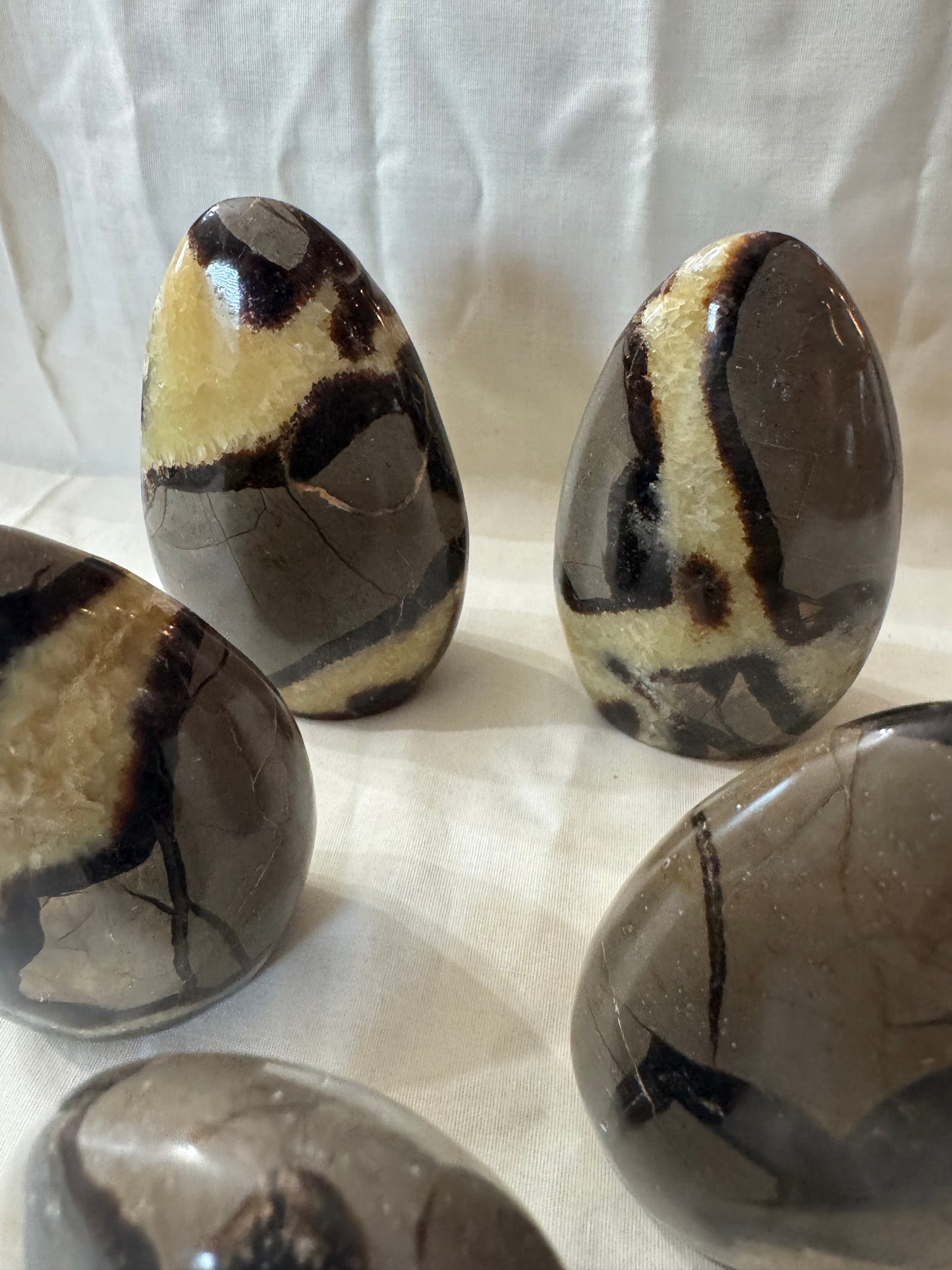 Septarian Crystal Freeform Choices #4-8
