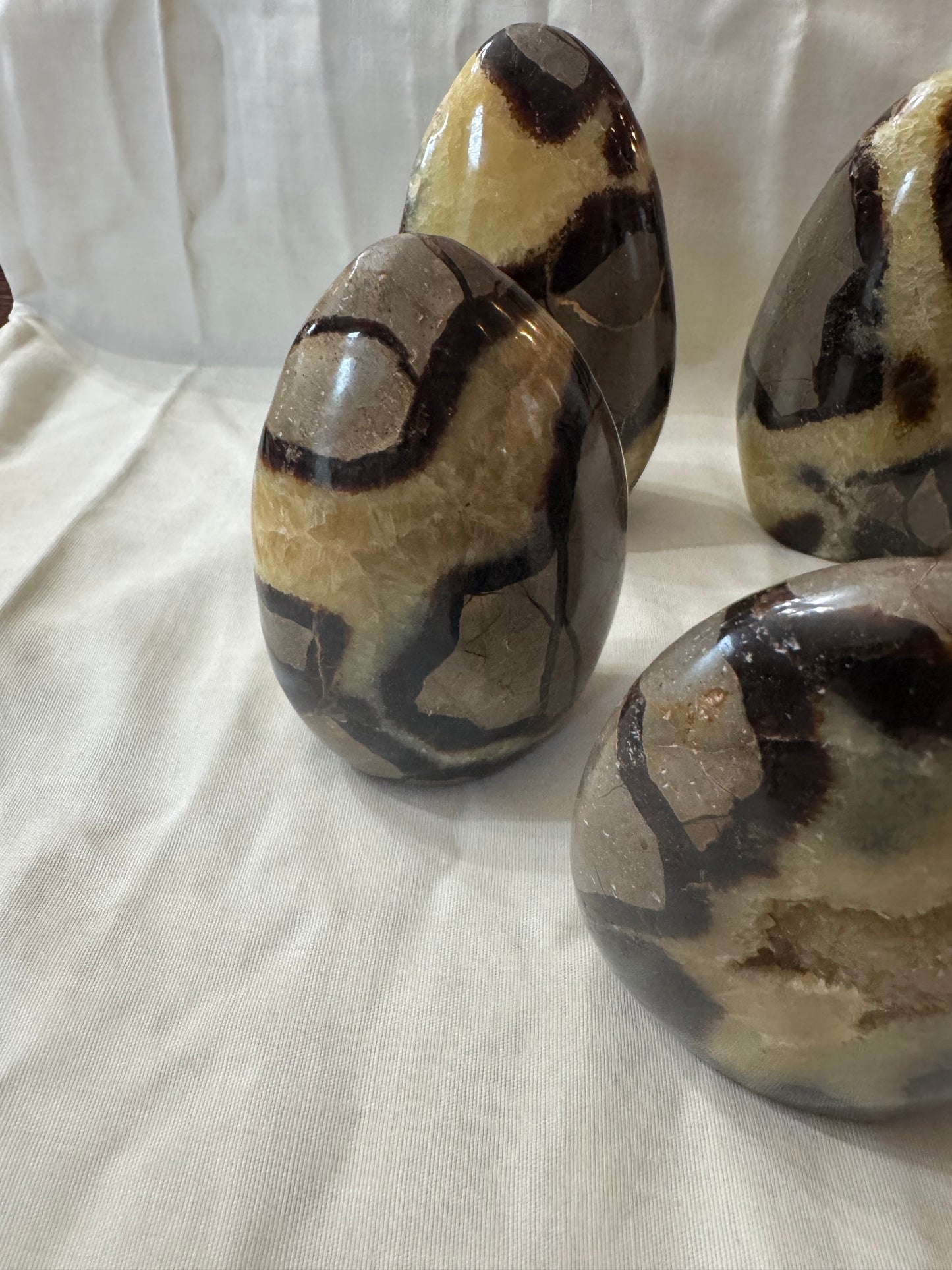 Septarian Crystal Freeform Choices #4-8