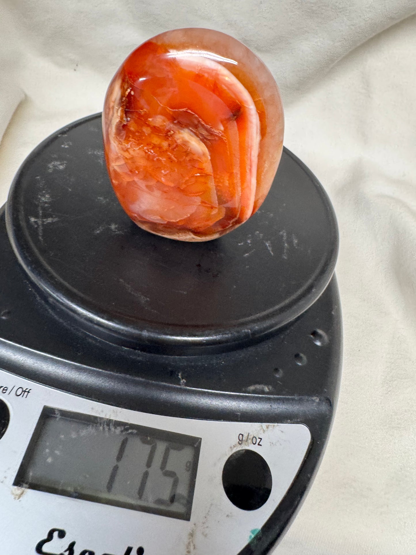 Carnelian Free Forms