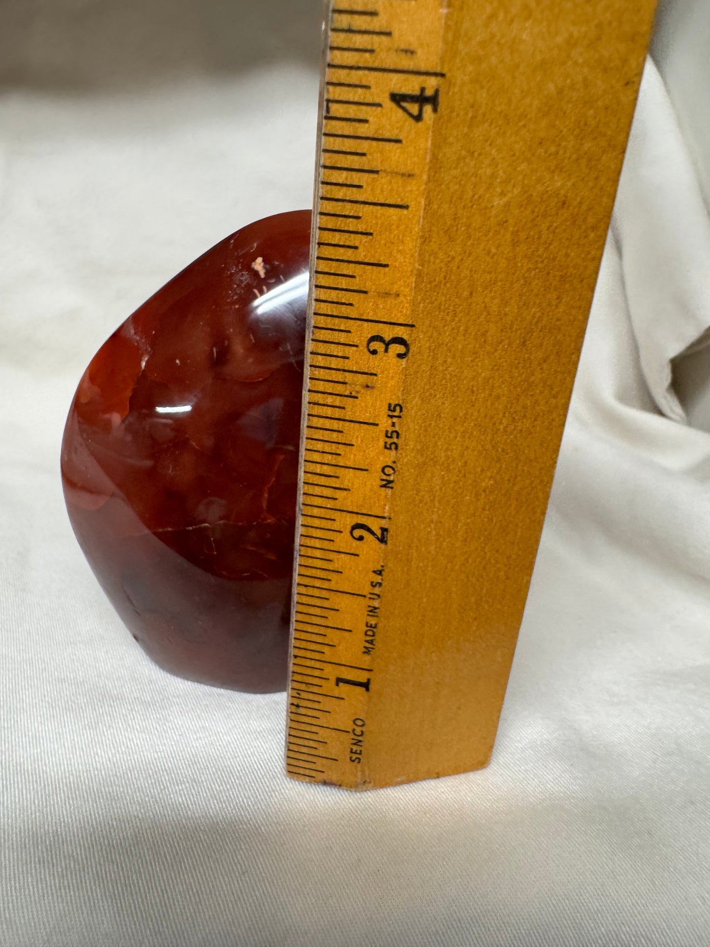 Carnelian Free Forms