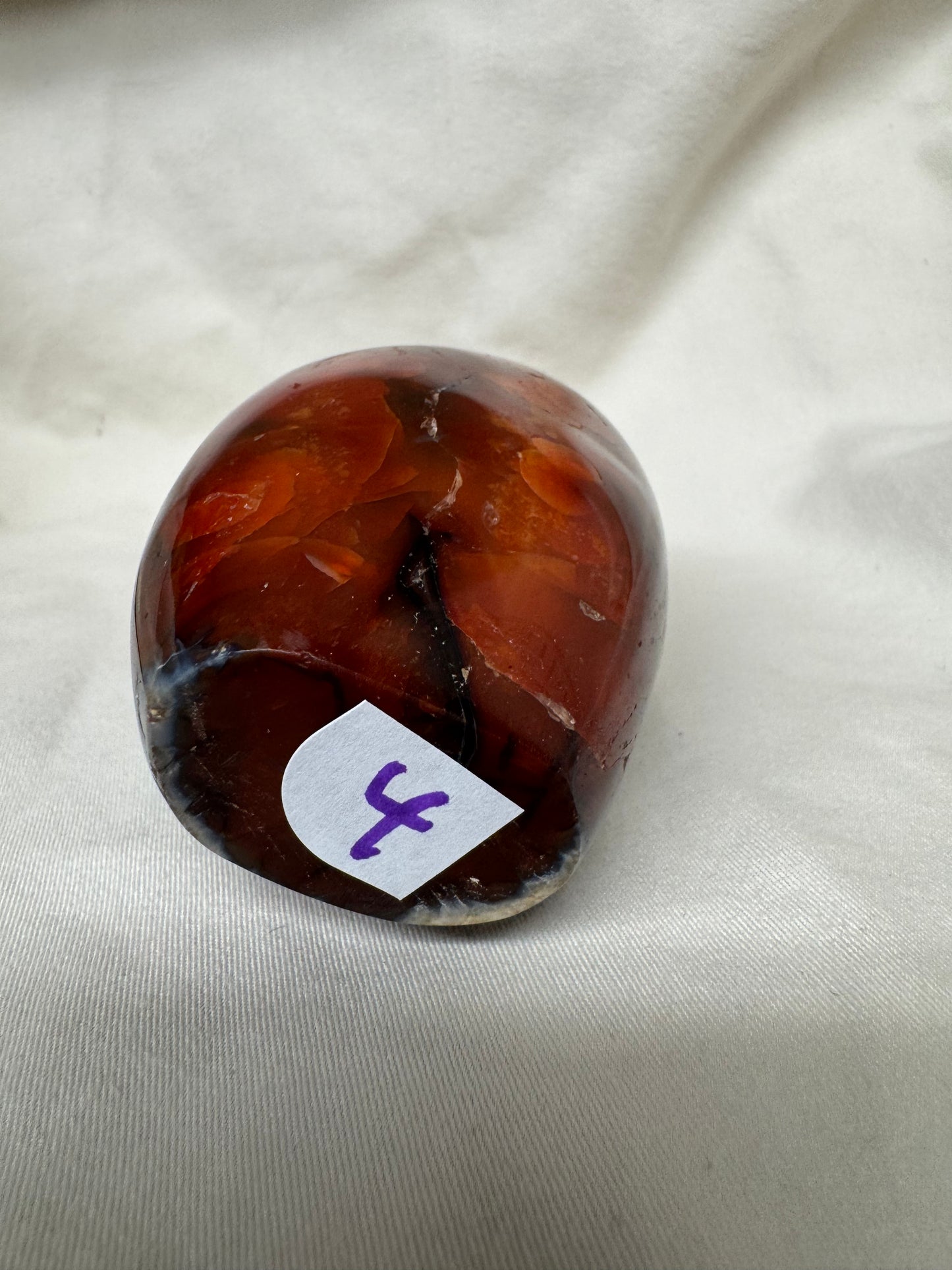 Carnelian Free Forms